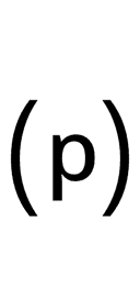 Parenthesized Latin Small Letter P symbol png image