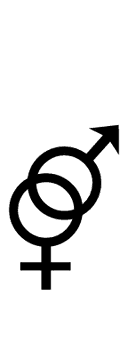 Interlocked Female and Male Sign symbol png image